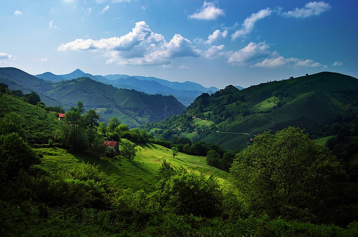 zielone wzgórza górskie, zieleń, lato, niebo, trawa, chmury, drzewa, wzgórza, Hiszpania, Asturia, góry Kantabryjskie, Tapety HD