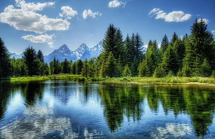reflection of green tall trees and clouds on body of water during daytime, Child, reflection, trees, clouds, body of water, daytime, Hdr, d2x, Wyoming, Grand Teton National Park, Portfolio, buffalo, beaverdam, beaver, colorful, mountains, forest, landscape, nature, reflections, peace, meditation, wonderful, dreamy, surreal, woods, lake, water, beautiful, gorgeous, Photographer, Pro, Nikon, Photography, Panorama, details, Perspective, Shot, Shoot, Capture, Image, Picture, Edge, Angle, lines, Composition, Processing, Treatment, Framing, Unique, Background, romance, beauty, mountain, scenics, outdoors, tree, summer, sky, beauty In Nature, travel, blue, HD wallpaper