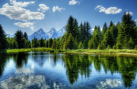reflection of green tall trees and clouds on body of water during daytime, Child, reflection, trees, clouds, body of water, daytime, Hdr, d2x, Wyoming, Grand Teton National Park, Portfolio, buffalo, beaverdam, beaver, colorful, mountains, forest, landscape, nature, reflections, peace, meditation, wonderful, dreamy, surreal, woods, lake, water, beautiful, gorgeous, Photographer, Pro, Nikon, Photography, Panorama, details, Perspective, Shot, Shoot, Capture, Image, Picture, Edge, Angle, lines, Composition, Processing, Treatment, Framing, Unique, Background, romance, beauty, mountain, scenics, outdoors, tree, summer, sky, beauty In Nature, travel, blue, HD wallpaper HD wallpaper