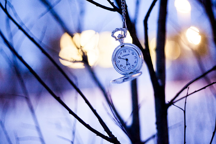 джобен часовник със сребърен цвят, часовници, клони, зима, джобен часовник, HD тапет