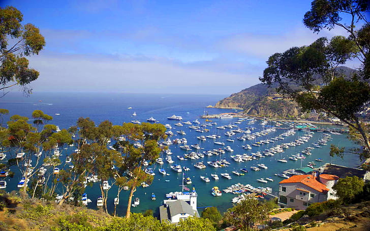 산타 카탈리나 섬, 캘리포니아에서 휴식, HD 배경 화면