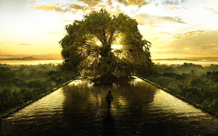 녹색 잎 나무, 분수, 나무, 영화, 연못 앞 강을 걷는 사람의 실루엣, HD 배경 화면