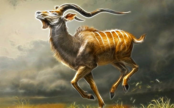 Kudu maior masculino, veado marrom arte ilustração, 3D, outros, animal, kudu, África do Sul, cabeças, HD papel de parede