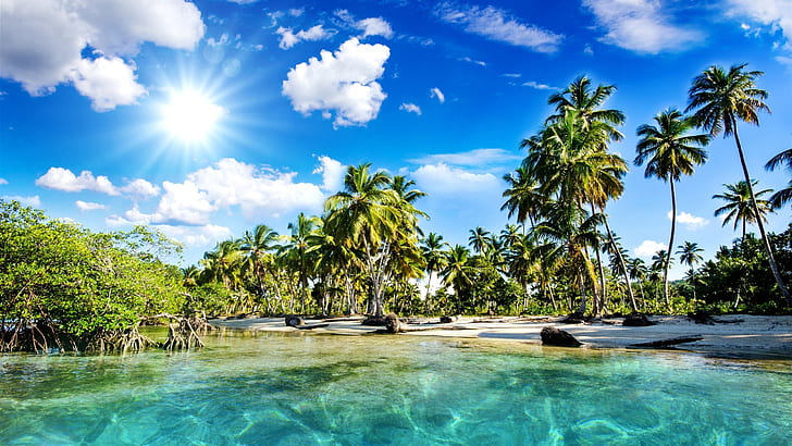 Hermosos paisajes, trópicos, playa, palmeras, mar, luz solar, hermoso, paisaje, trópicos, playa, palmeras, árboles, mar, luz solar, Fondo de pantalla HD
