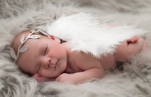 写真、赤ちゃん、天使、眠っている、翼、 HDデスクトップの壁紙 HD wallpaper