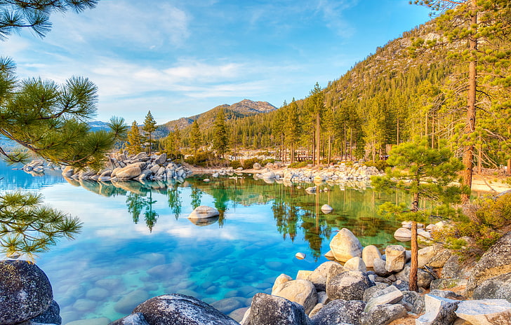 lake, forest, water, trees, mountains, branches, lake, reflection, stones, USA, Lake Tahoe, HD wallpaper