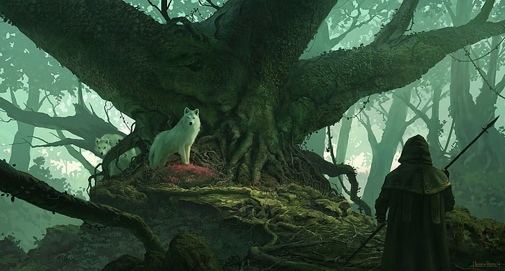 рисуване на бял вълк, мъж, облечен в халат, държещ копие пред бял вълк, мъже, качулка, вълк, дървета, животни, корени, фентъзи изкуство, гора, Матю Добрич, HD тапет