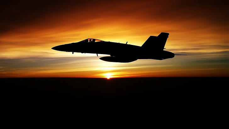 humor, McDonnell Douglas FA-18 Hornet, pesawat militer, Wallpaper HD