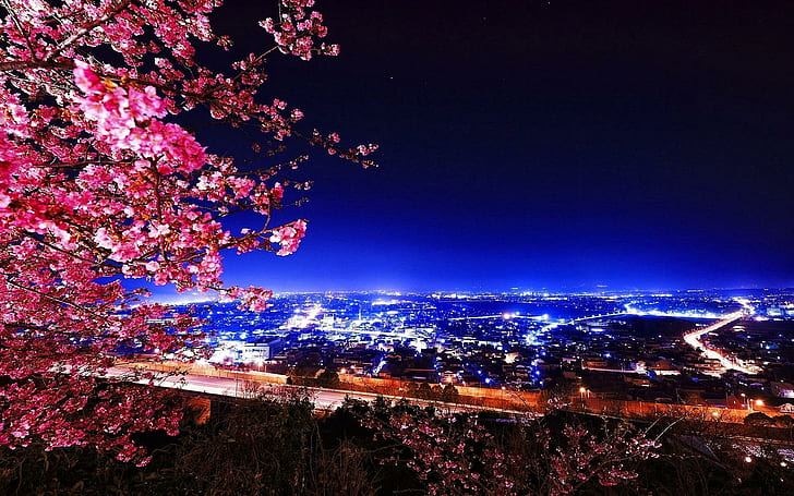 Сакура Ветки над городом, вид, прекрасный, красивый, красивый, дорога, сакура, синий, красивый, облака, огни, цветение, природа, дерево, HD обои