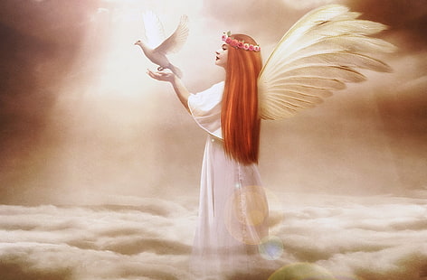 angel holding white bird illustration, the sky, girl, clouds, face, fiction, bird, hair, dove, wings, angel, hands, profile, long, Jennifer Gelinas, HD wallpaper HD wallpaper