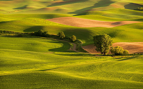 Green fields, grass, hills, trees, road, Green, Fields, Grass, Hills, Trees, Road, HD wallpaper HD wallpaper