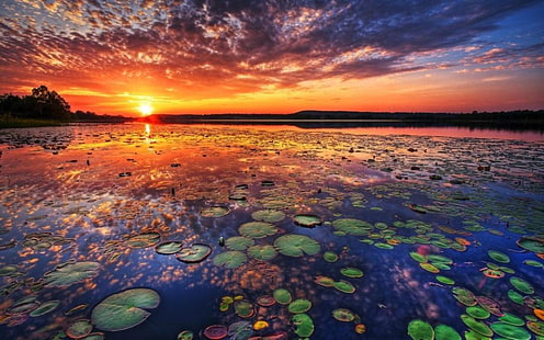 Danau Teratai Tambon, Chiang Haeo, Thailand Sunset awan refleksi Daun teratai Wallpaper Pemandangan Danau Berwarna Hd 2560 × 1600, Wallpaper HD HD wallpaper