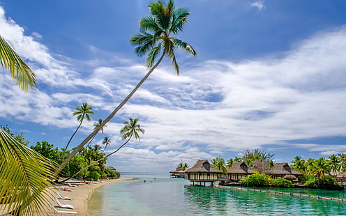 Пляж, море, курорт, дом, пальмы, тропический, Пляж, море, курорт, дом, пальмы, деревья, тропический, HD обои HD wallpaper