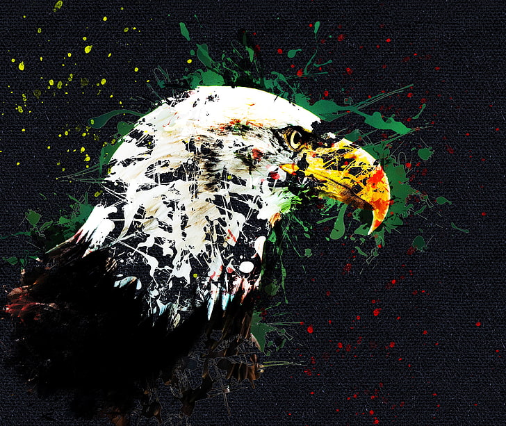 Black eagle HD wallpaper