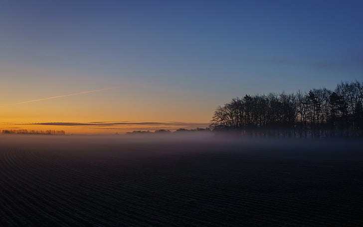 paisaje, campo, llanuras, amanecer, niebla, cielo anaranjado, Fondo de pantalla HD