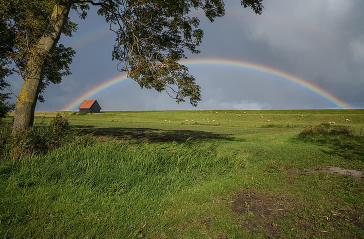 house, photo, rainbow, meadow, Netherlands, Kreileroord, HD wallpaper