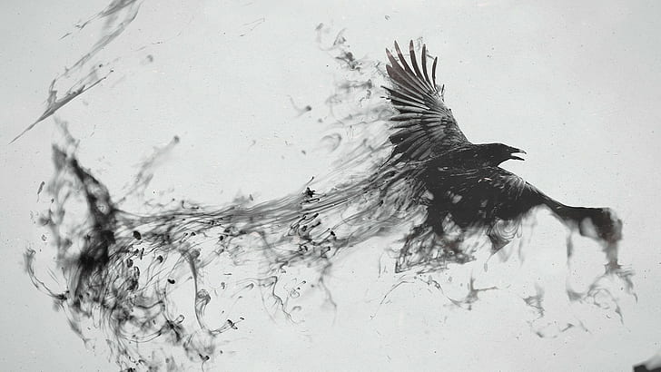 creativity, crow, birds, monochrome, ink, raven, artwork, digital art, animals, HD wallpaper