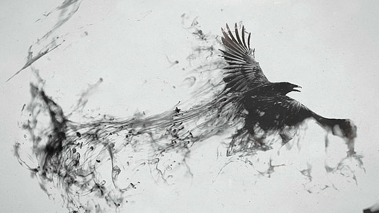creativity, crow, birds, monochrome, ink, raven, artwork, digital art, animals, HD wallpaper HD wallpaper