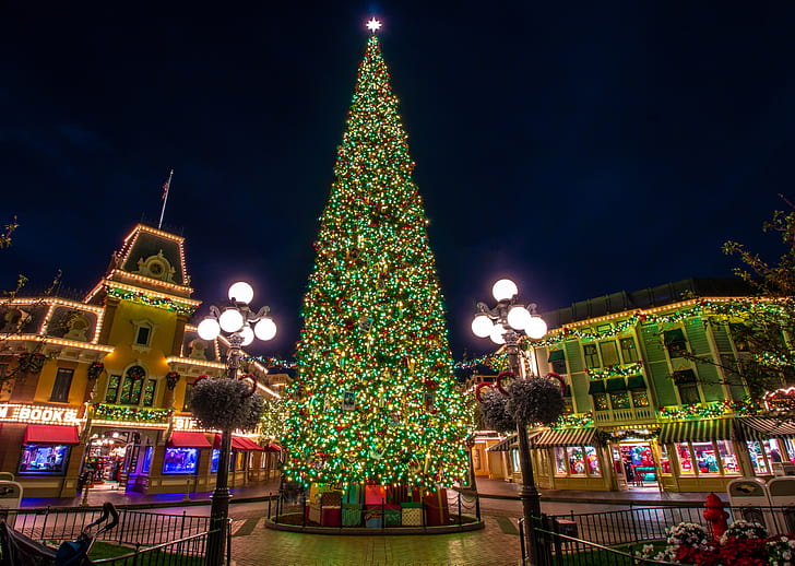 Vacaciones, Navidad, California, Luces de Navidad, Árbol de Navidad, Disneyland, Fondo de pantalla HD