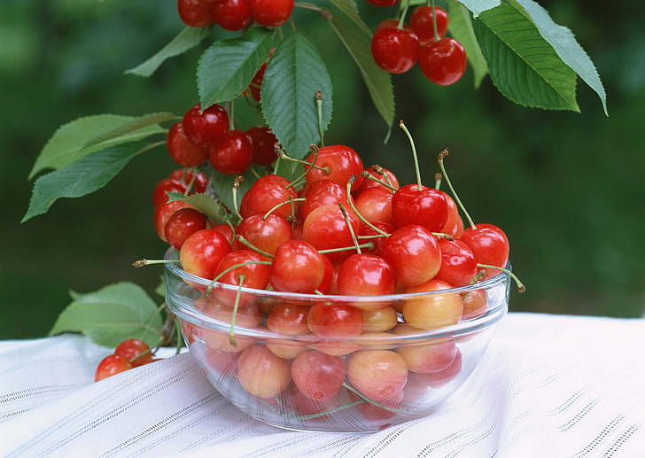 Haufen rote Beeren, Kirsche, Garten, Blätter, HD-Hintergrundbild