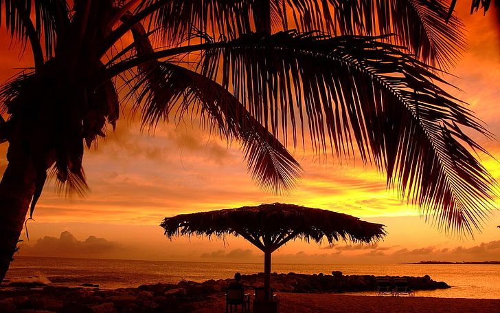 nature, landscape, sunset, umbrella, beach, palm trees, sea, clouds, sky, HD wallpaper