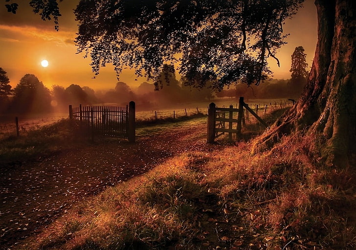коричневый деревянный забор, осень, деревья, трава, забор, ворота, дорога, солнечные лучи, природа, пейзаж, поле, HD обои