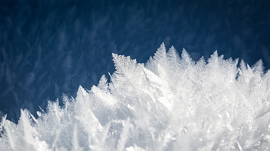 naturaleza, paisaje, invierno, nieve, hielo, escarcha, primer plano, Fondo de pantalla HD HD wallpaper