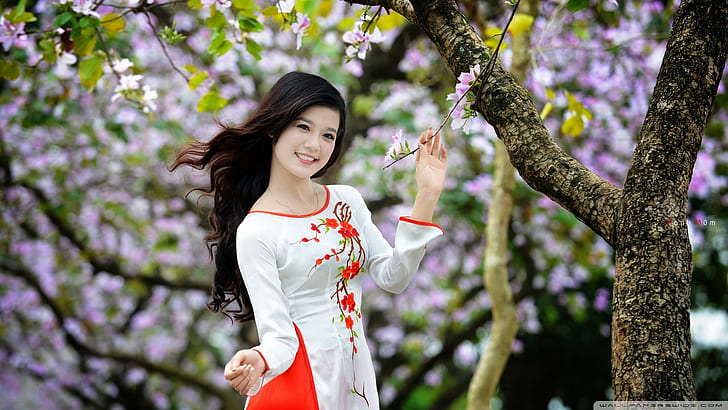 frauen, asiatisch, vietnamesisch, áo dài, HD-Hintergrundbild