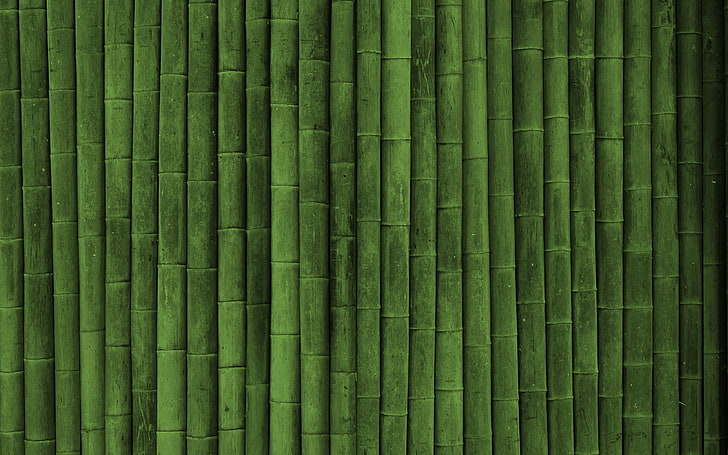 зеленые бамбуковые обои, бамбук, палка, зелень, вертикаль, HD обои