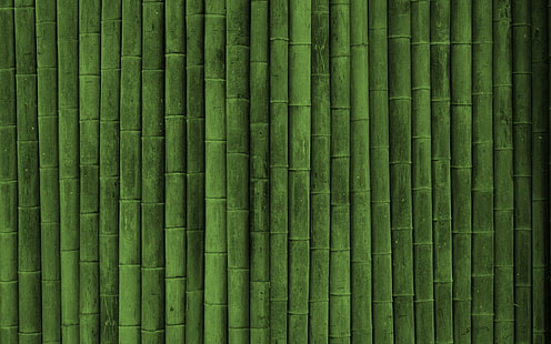 緑の竹の壁紙、竹、スティック、緑、垂直、 HDデスクトップの壁紙 HD wallpaper