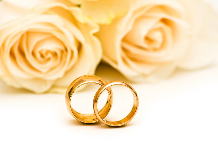 gold-colored wedding bands, flowers, roses, engagement rings, wedding rings, HD wallpaper