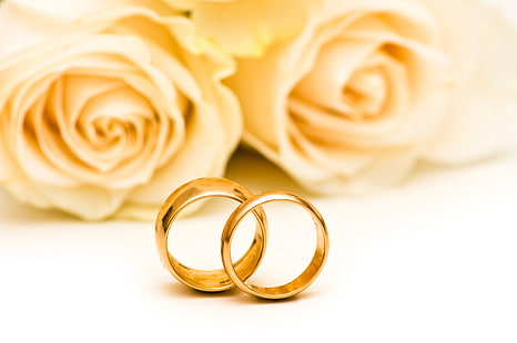 gold-colored wedding bands, flowers, roses, engagement rings, wedding rings, HD wallpaper HD wallpaper