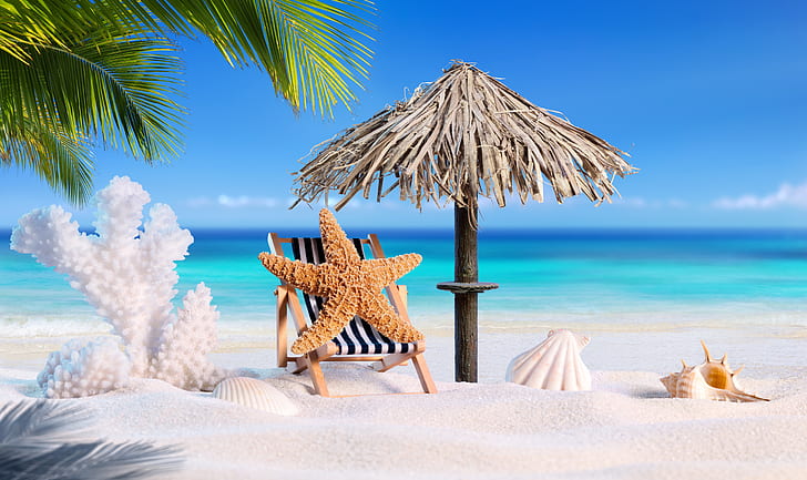 arena, mar, playa, verano, estrella, vacaciones, concha, palmeras, tropical, estrella de mar, conchas marinas, Fondo de pantalla HD