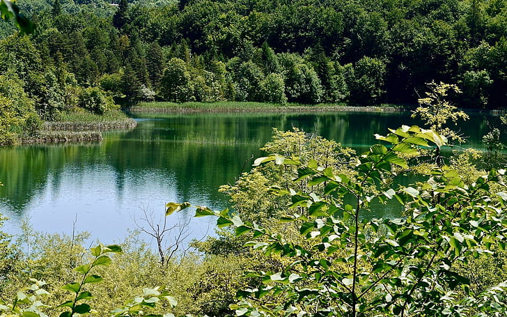 *** Kroatien - Plitvicesjöar ***, natur, träd, skog, sjö, natur och landskap, HD tapet