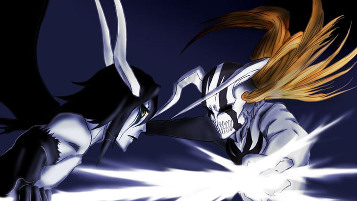 two male anime characters, Bleach, Ulquiorra Cifer, Vasto Lorde, Kurosaki Ichigo, Hollow, Espada, HD wallpaper