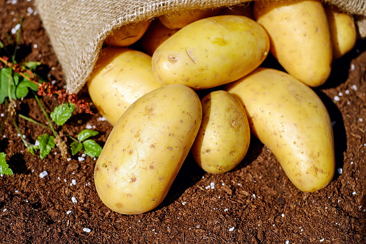 close up, food, harvest, healthy, ingredient, pile, plant, potatoes, soil, HD wallpaper