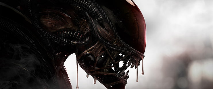 Alien (movie), movies, Xenomorph, HD wallpaper HD wallpaper