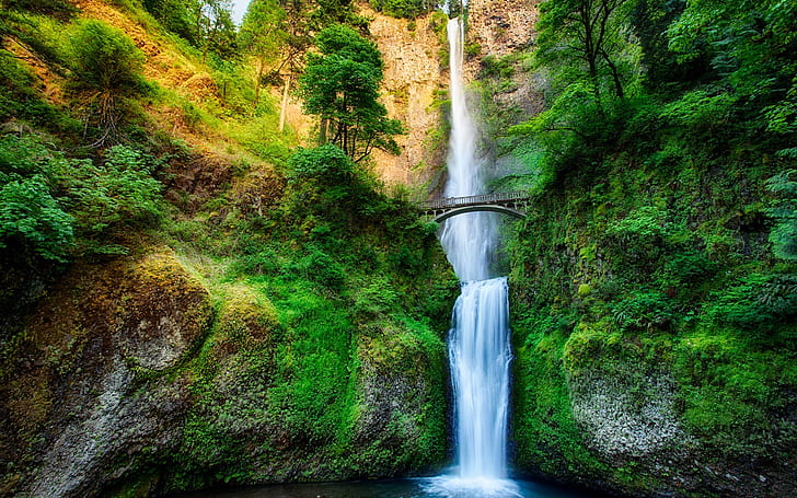 Oregon, USA, wodospad, strumień, las, drzewa, most, skała, wodospady i drzewa, Oregon, USA, wodospad, strumień, las, drzewa, most, skała, Tapety HD