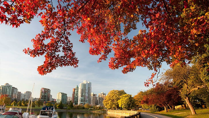 есен, червени листа, Ванкувър, Канада, HD тапет