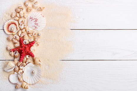 sand, star, shell, wood, marine, still life, pearl, starfish, seashells, perl, HD wallpaper HD wallpaper