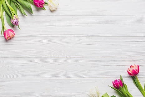 fiori, primavera, colorato, tulipani, tavola, legno, rosa, Sfondo HD HD wallpaper