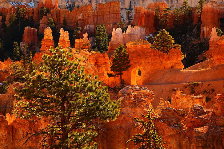 Taman Usa Bryce Canyon Utah Nature Kualitas Tinggi, gurun, bryce, canyon, tinggi, alam, taman, kualitas, utah, Wallpaper HD