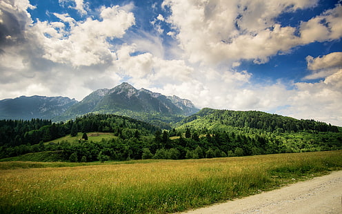 зеленое поле с фоном горы, природа, гора, лето, лес, пейзаж, на открытом воздухе, дерево, луг, небо, сельская сцена, зеленый цвет, scenics, трава, холм, облако - небо, европейские Альпы, синий, HD обои HD wallpaper