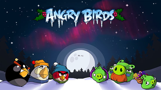 Angry Birds Seasons, estaciones, pájaros, enojado, juegos, Fondo de pantalla HD HD wallpaper