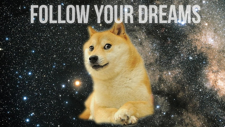 Doge dengan overlay teks, doge, inspirasional, hewan, motivasi, meme, Wallpaper HD