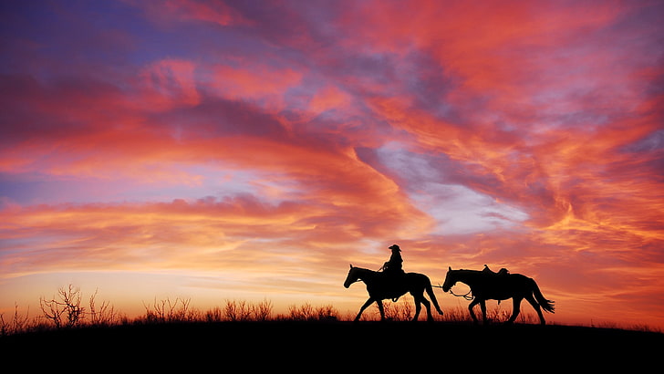 horseman, cowboy, silhouette, man, plain, red sky, dusk, afterglow, horse, sky, dawn, evening, atmosphere, ecoregion, rider, grassland, sunset, cloud, HD wallpaper