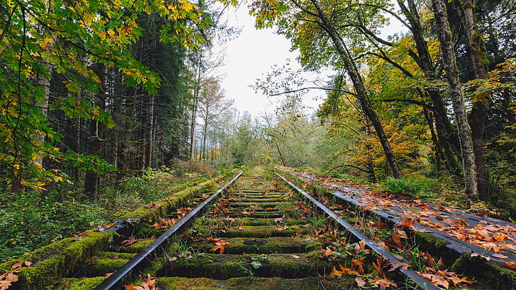 abandoned, railway, railroad, track, decay, autumn, 5k uhd, 5k, HD wallpaper