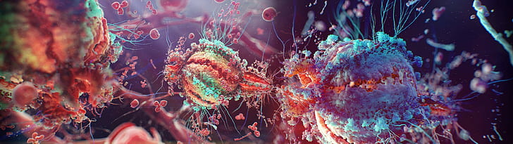 wallpaper anemon laut digital, fotografi organisme mikro, abstrak, 3D, biologi, Wallpaper HD