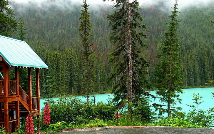 Канада, национален парк Йохо, кафява дървена къща, Канада, гора, дървета, къща, бряг, езеро, национален парк Йохо, HD тапет