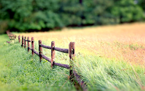 Nature landscape, fence, grass, blur background, brown wooden fence, Nature, Landscape, Fence, Grass, Blur, Background, HD wallpaper HD wallpaper